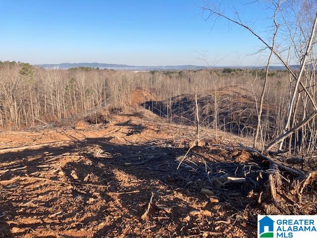 1925 Coaling Road, Unit 240 AC Sylacauga, AL 35151 - Photo 2 of 8