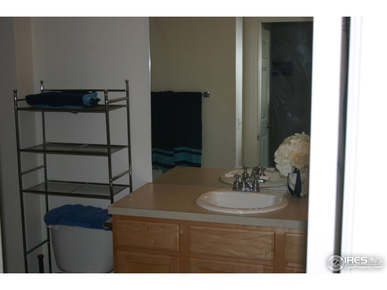4501 Nelson Road, Unit 2203 Longmont, CO 80503 - Photo 15 of 23 Bathroom 2