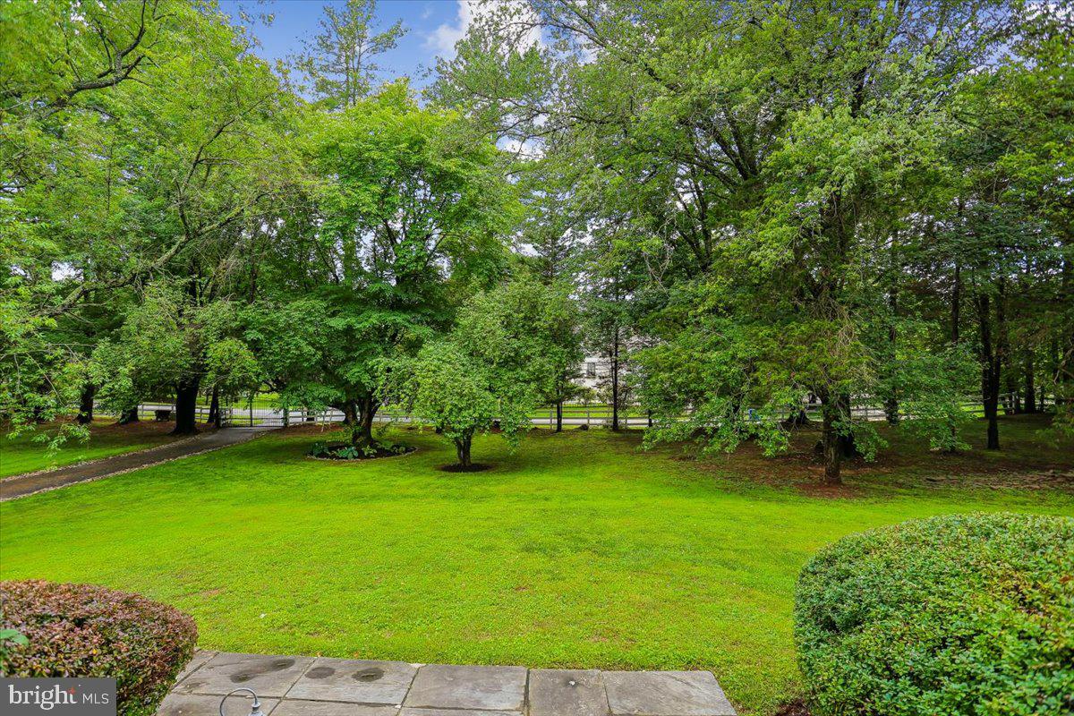 8603 Brickyard Road Potomac, MD 20854 - Photo 125 of 135 View from the Front Porch