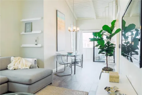 a living room with furniture flowerpot and a potted plant