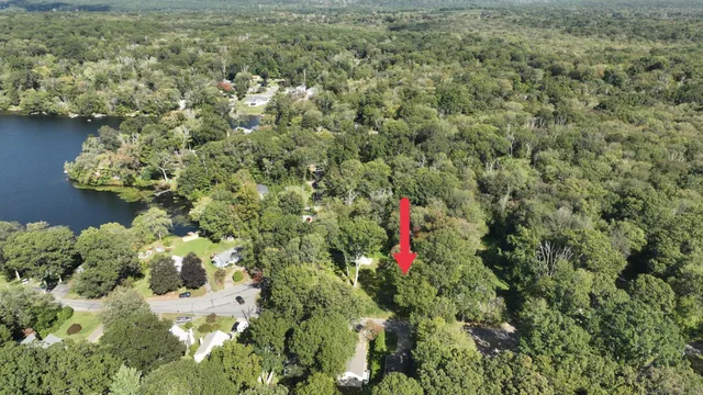 a close up of a flower in a garden