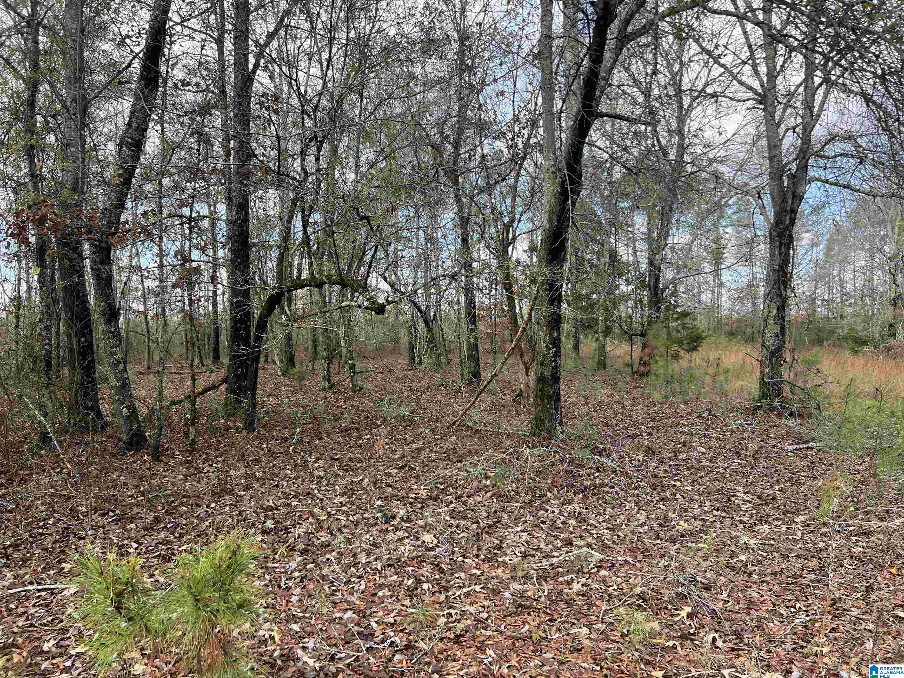 407 Jeter Road Talladega, AL 35160 - Photo 16 of 30 Gallery Image 16