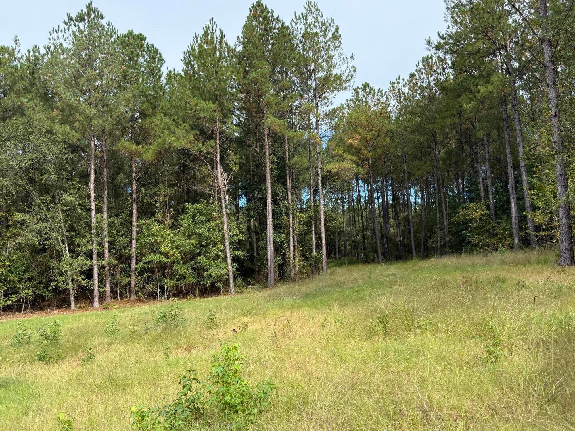 Tbd New Holland Road Aiken, SC 29805 - Photo 4 of 7 Gallery Image 4