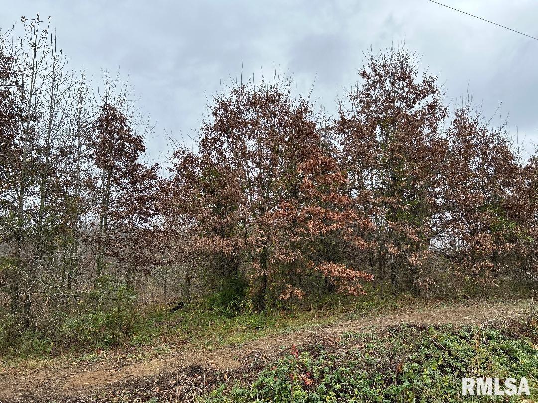 0 Antioch Road West Frankfort, IL 62896 - Photo 2 of 8