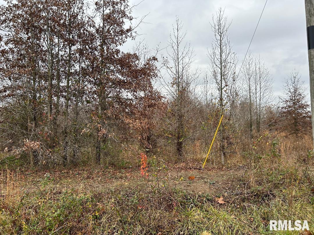 0 Antioch Road West Frankfort, IL 62896 - Photo 3 of 8