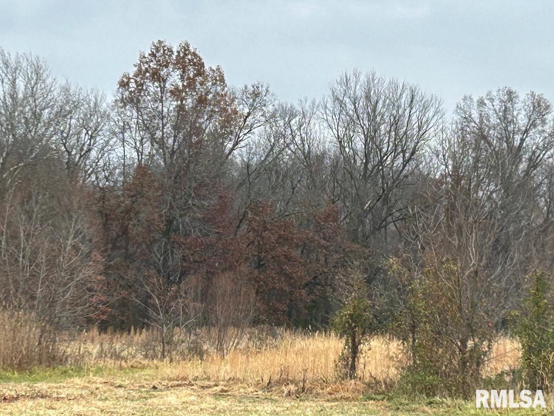 0 Antioch Road West Frankfort, IL 62896 - Photo 4 of 8