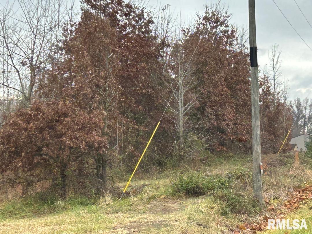 0 Antioch Road West Frankfort, IL 62896 - Photo 5 of 8