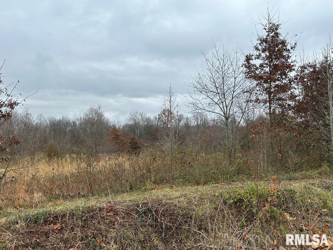 0 Antioch Road West Frankfort, IL 62896 - Photo 6 of 8