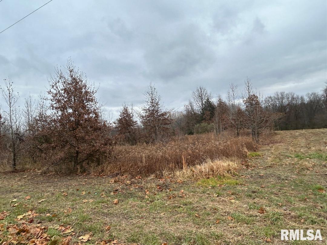 0 Antioch Road West Frankfort, IL 62896 - Photo 7 of 8