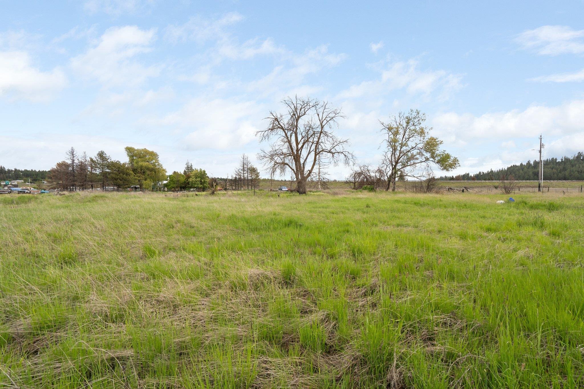 13808 West Taylor Road Cheney, WA 99004 - Photo 4 of 14