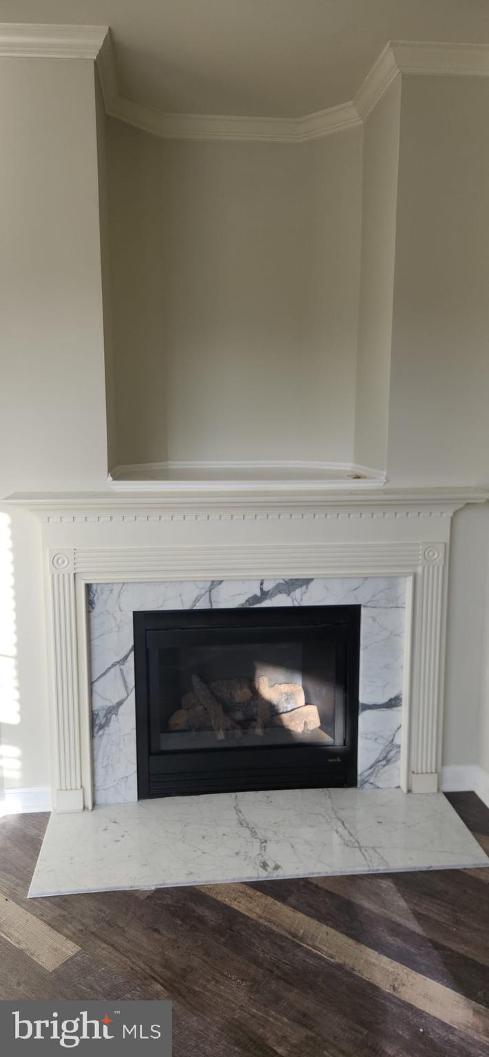 107 Swallow Pointe Court Frederick, MD 21702 - Photo 11 of 18 a living room with a fireplace