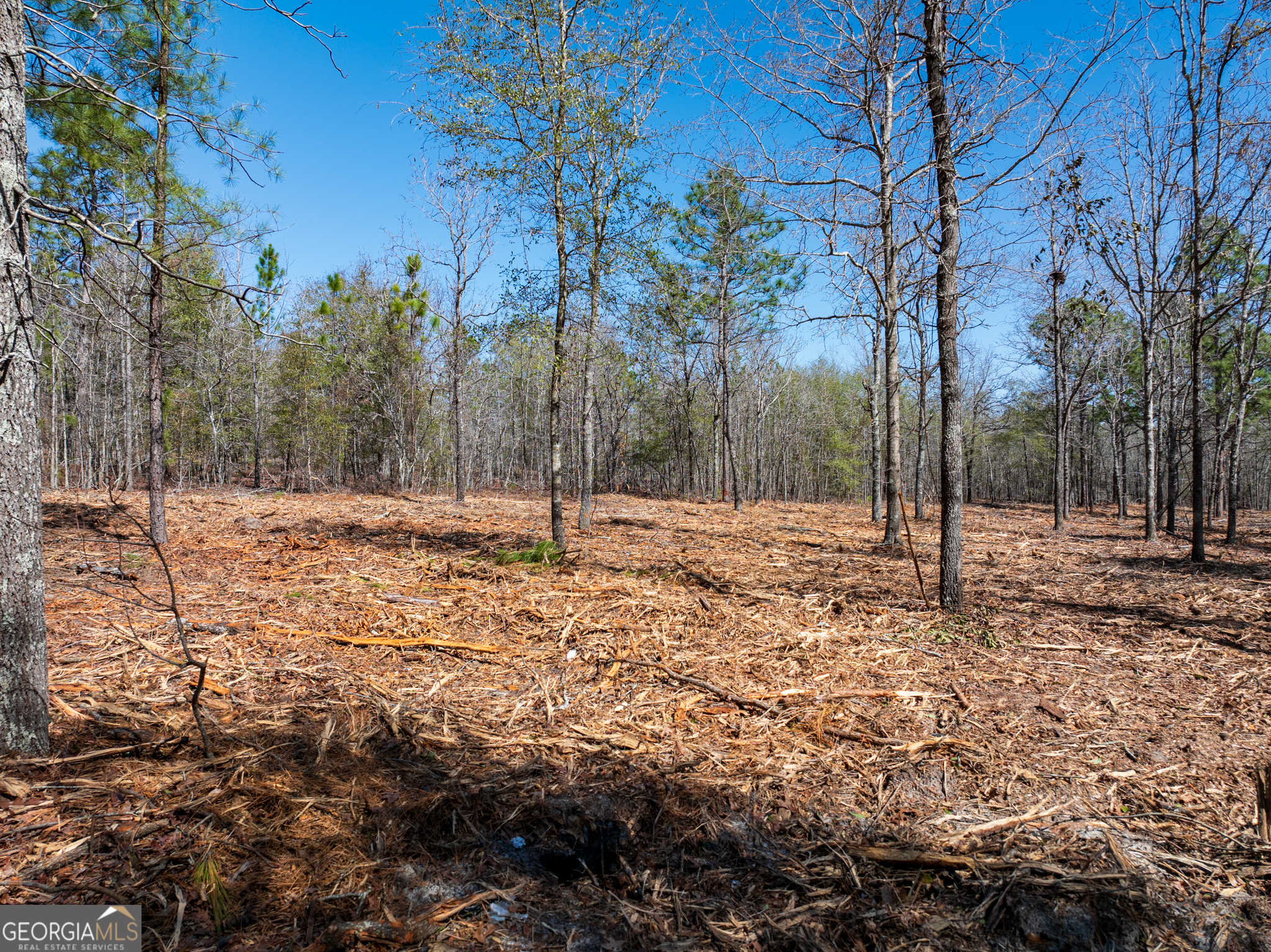 10.51-acres River Road, Unit LOT #1 Waynesboro, GA 30830 - Photo 11 of 27