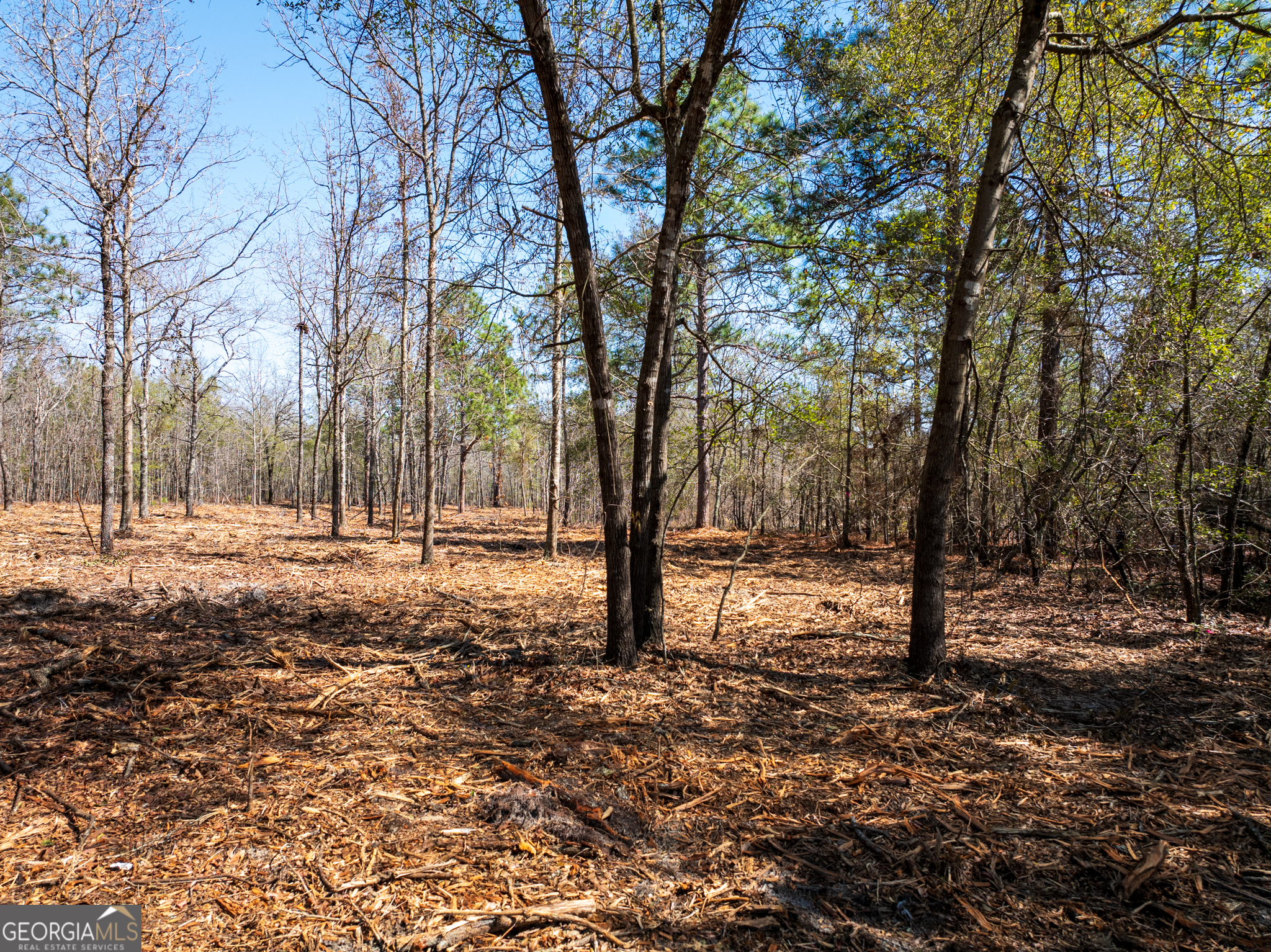 10.51-acres River Road, Unit LOT #1 Waynesboro, GA 30830 - Photo 12 of 27
