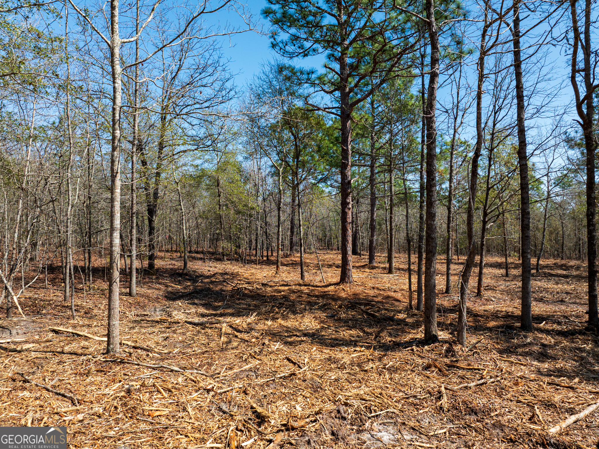 10.51-acres River Road, Unit LOT #1 Waynesboro, GA 30830 - Photo 15 of 27