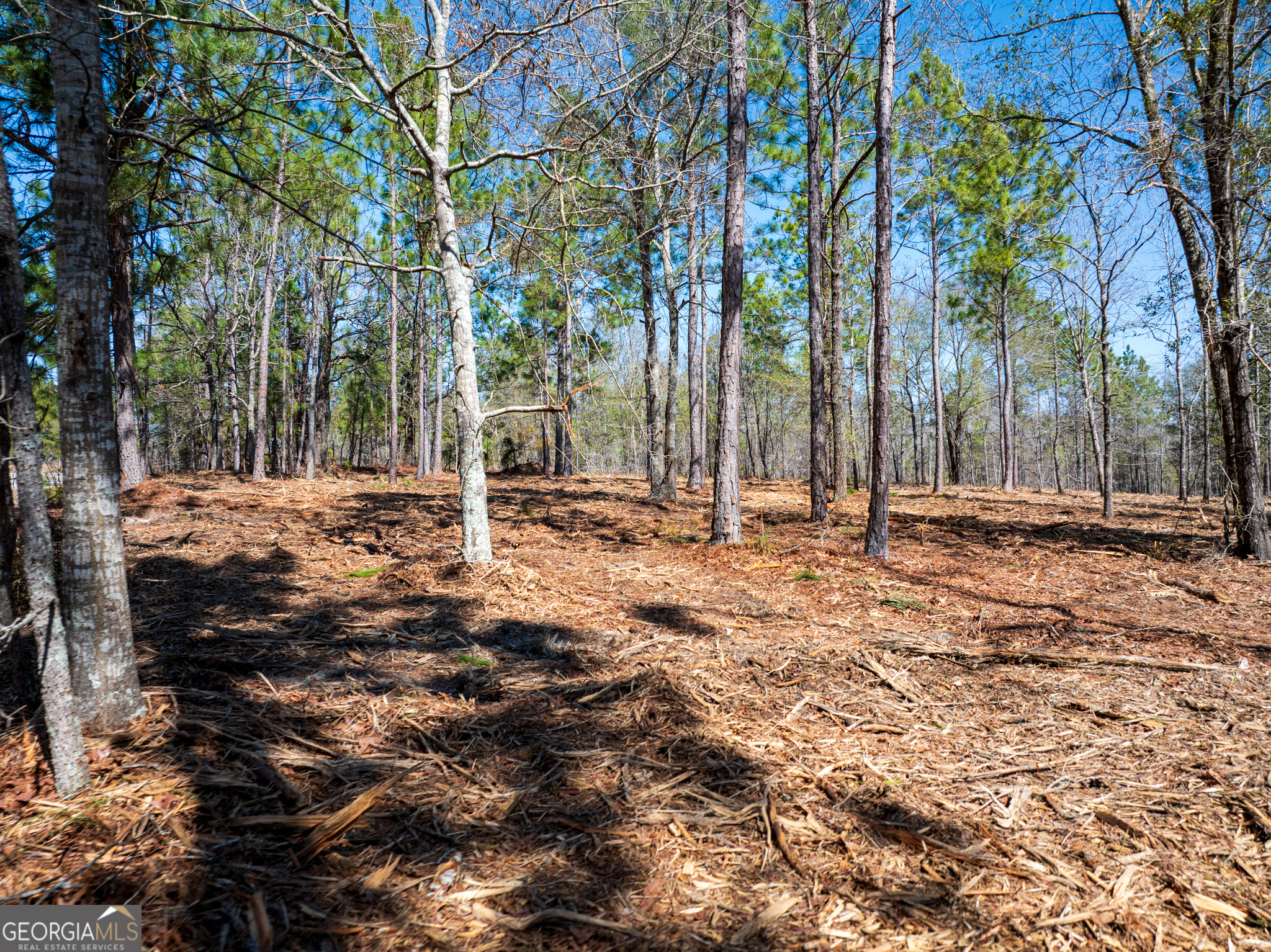 10.51-acres River Road, Unit LOT #1 Waynesboro, GA 30830 - Photo 17 of 27
