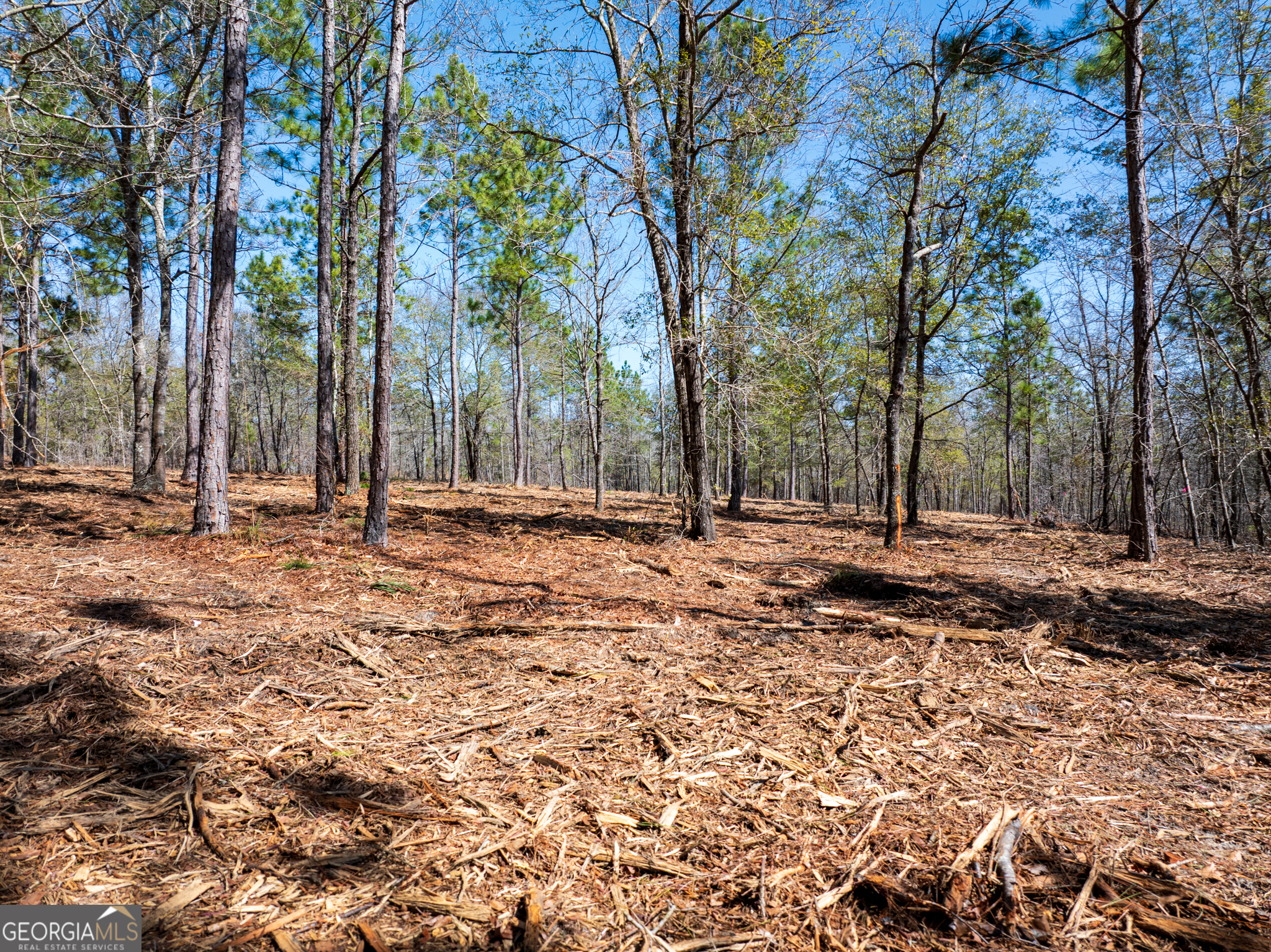 10.51-acres River Road, Unit LOT #1 Waynesboro, GA 30830 - Photo 20 of 27