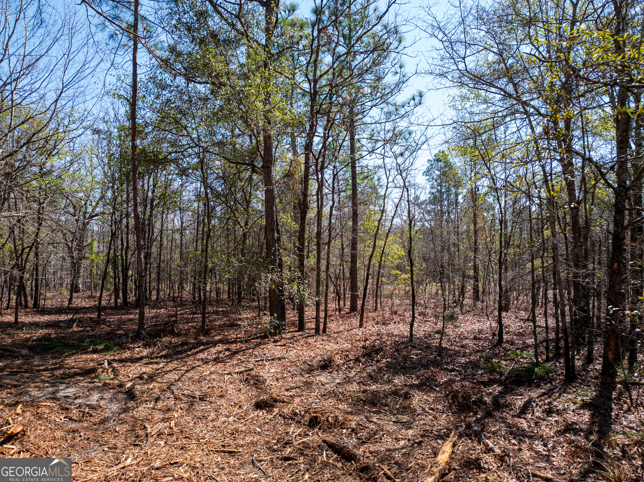 10.51-acres River Road, Unit LOT #1 Waynesboro, GA 30830 - Photo 21 of 27