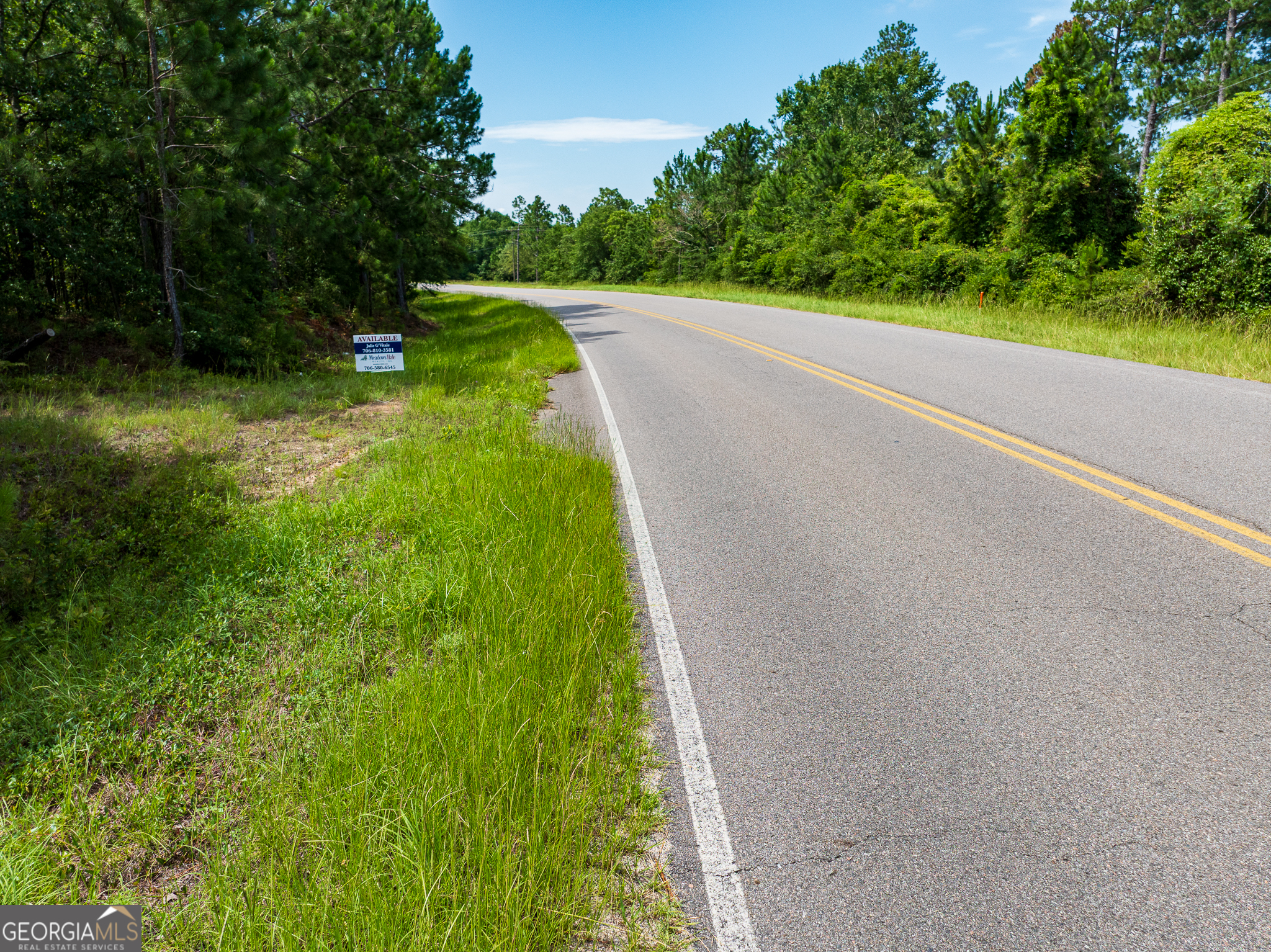 10.51-acres River Road, Unit LOT #1 Waynesboro, GA 30830 - Photo 23 of 27