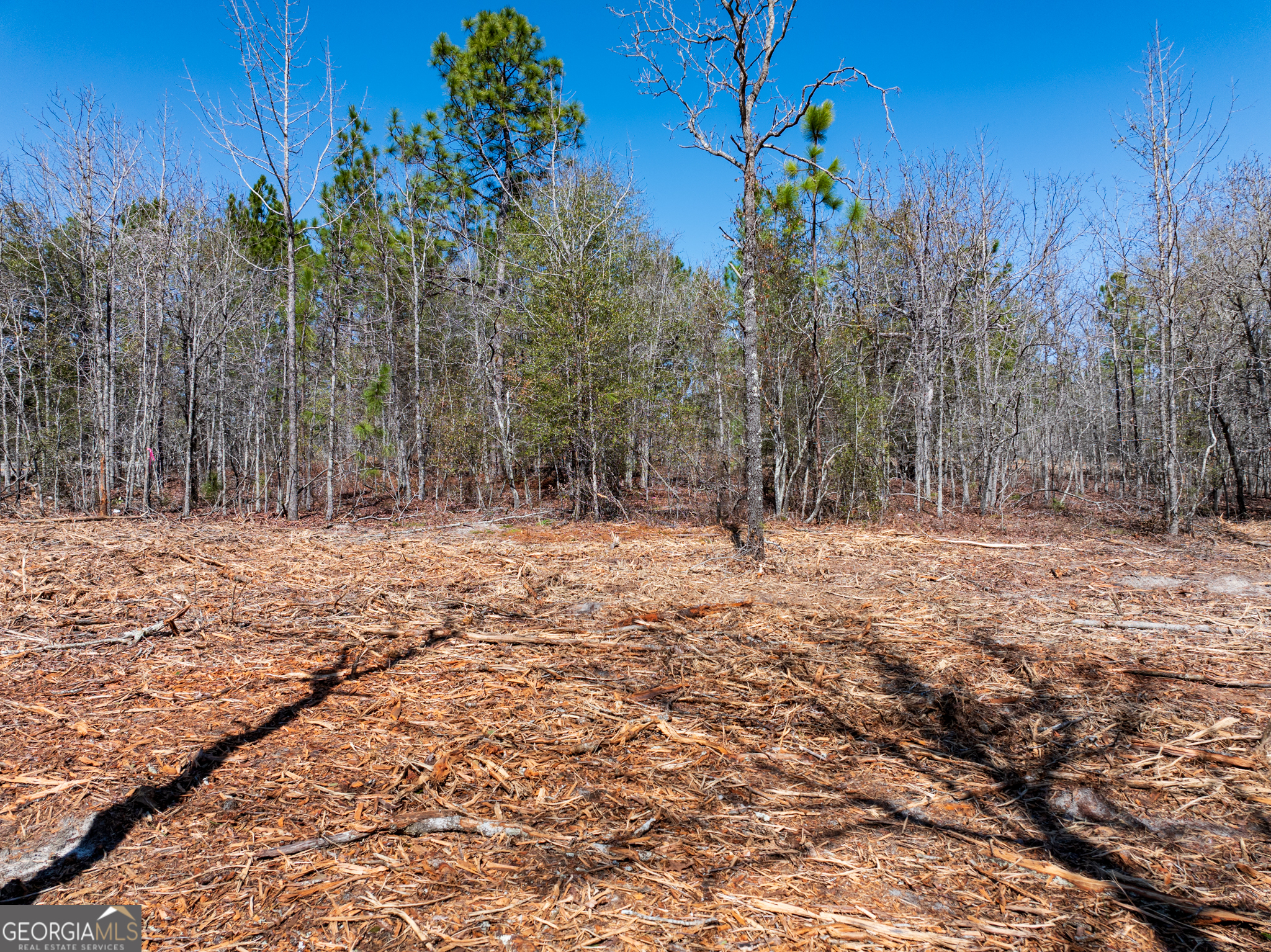 10.51-acres River Road, Unit LOT #1 Waynesboro, GA 30830 - Photo 8 of 27
