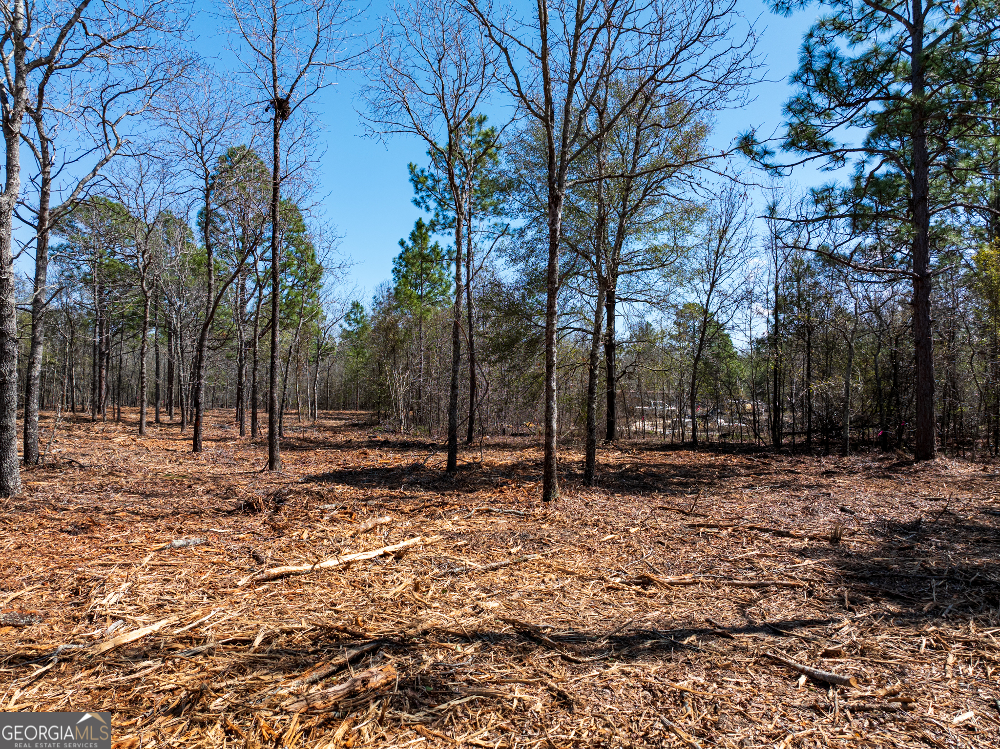 10.51-acres River Road, Unit LOT #1 Waynesboro, GA 30830 - Photo 9 of 27