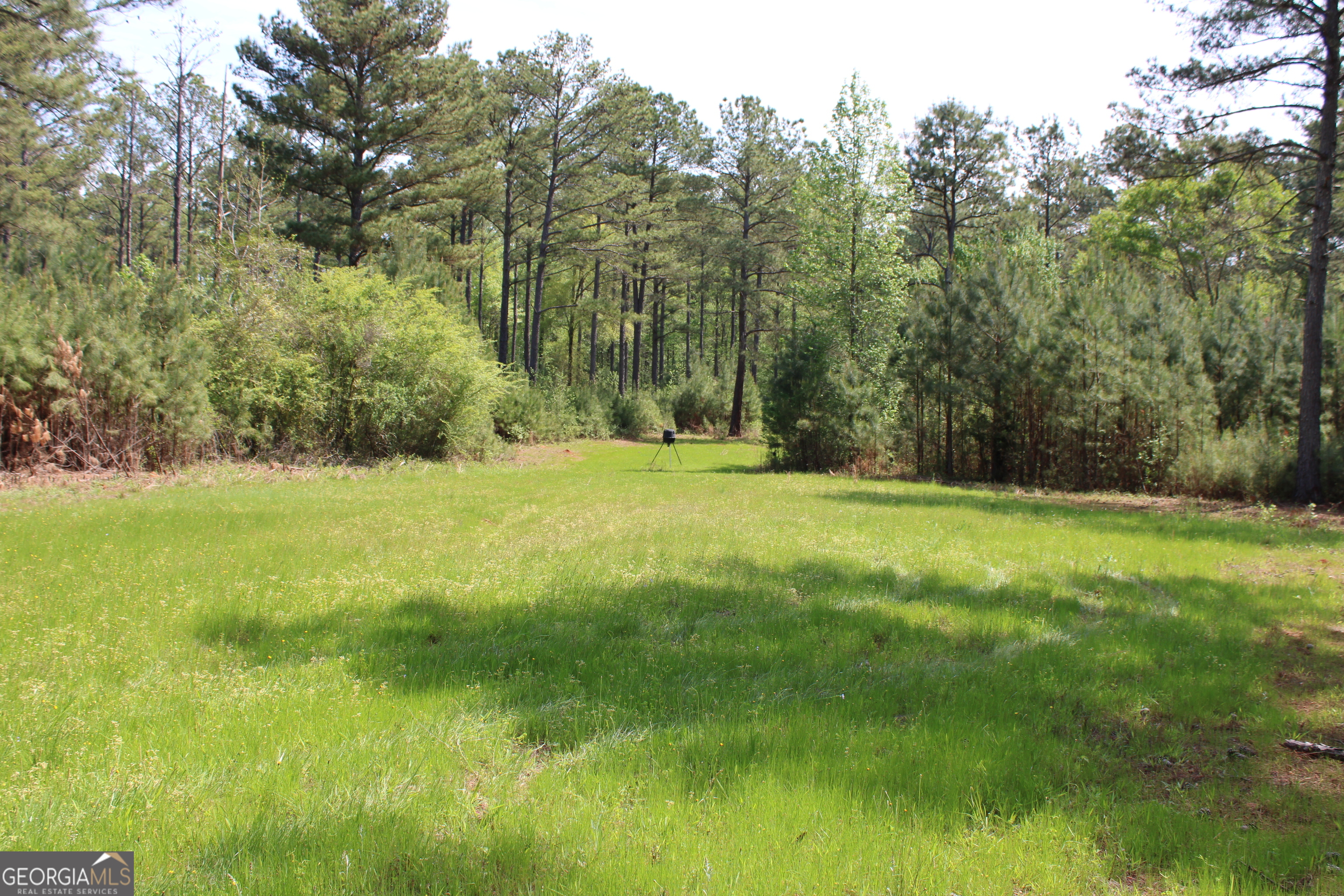 0 Ruffner Road The Rock, GA 30285 - Photo 35 of 51 a view of swimming pool with a yard