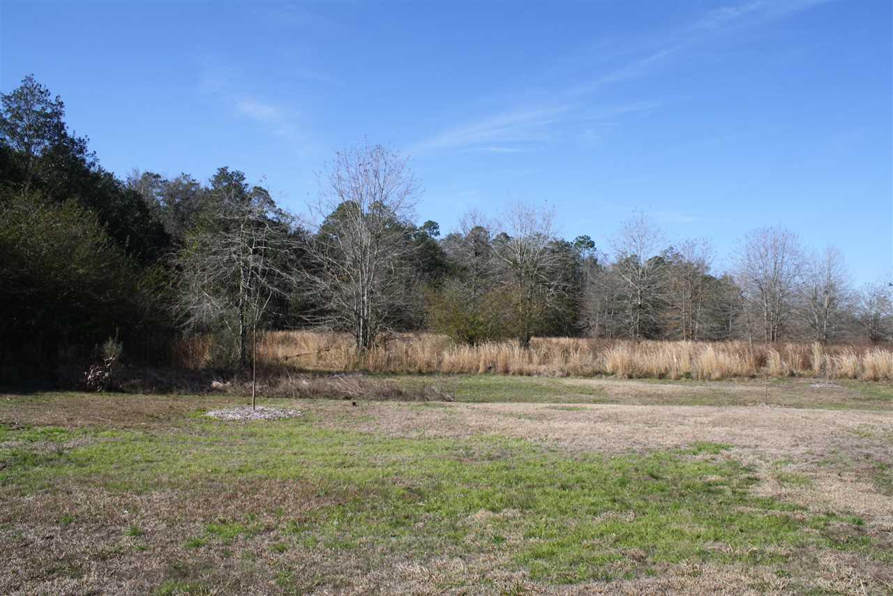 595 Ard Field Road Jay, FL 32565 - Photo 4 of 30 side...
