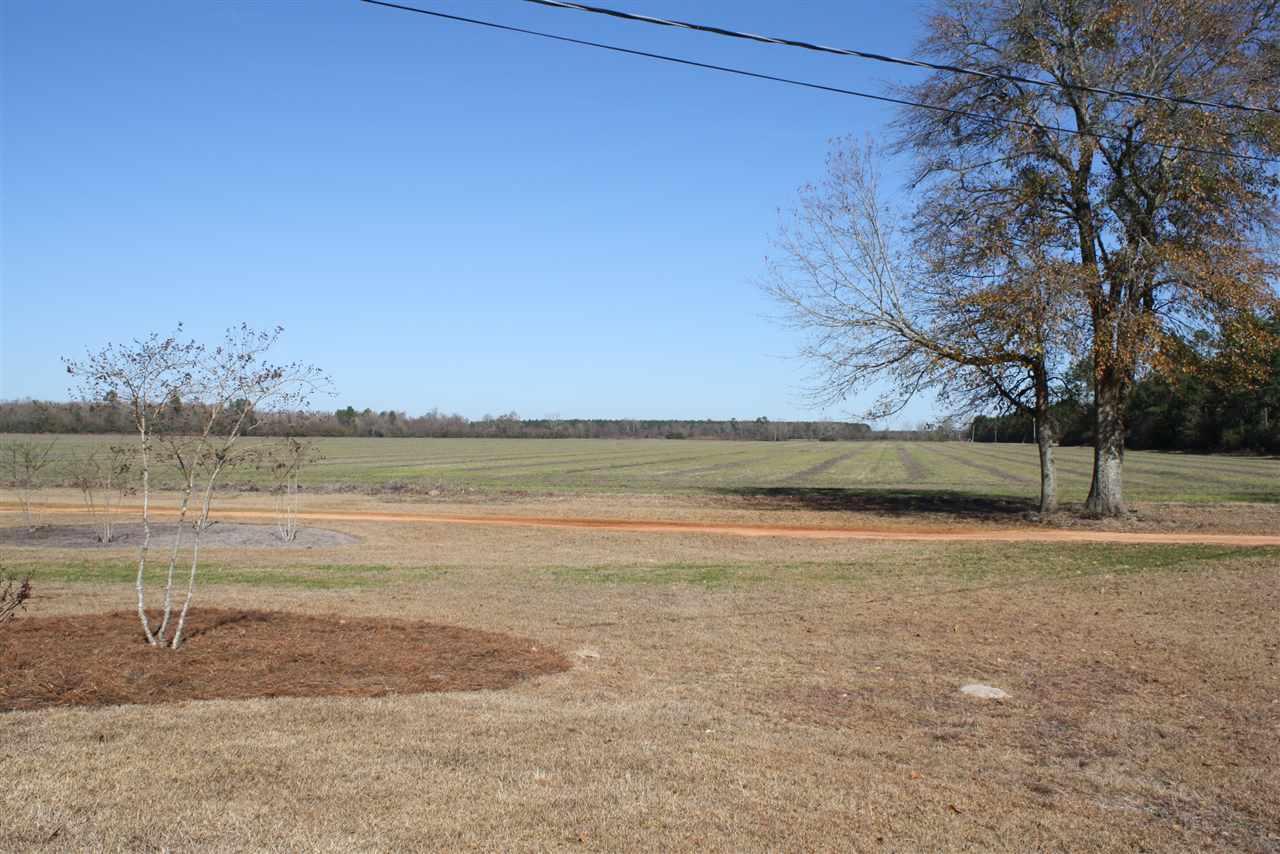 595 Ard Field Road Jay, FL 32565 - Photo 6 of 30 Nothin' but COUNTRY!
