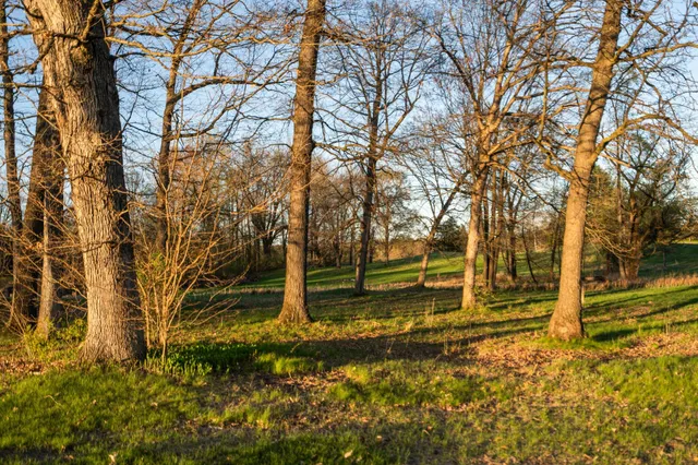 $950,000 | Moeckel Road, Grass Lake, MI 49240