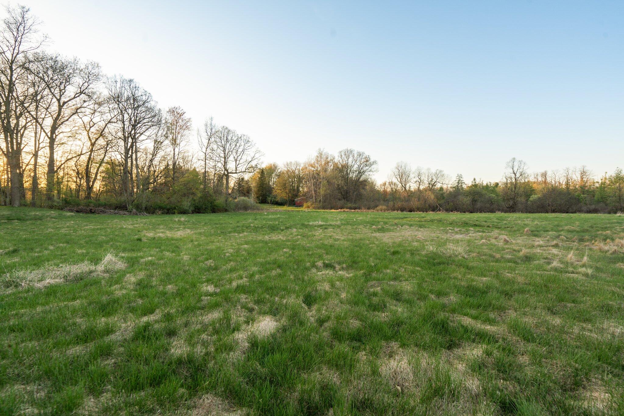 Moeckel Road Grass Lake, MI 49240 - Photo 15 of 65 15-web-or-mls-ES_09080