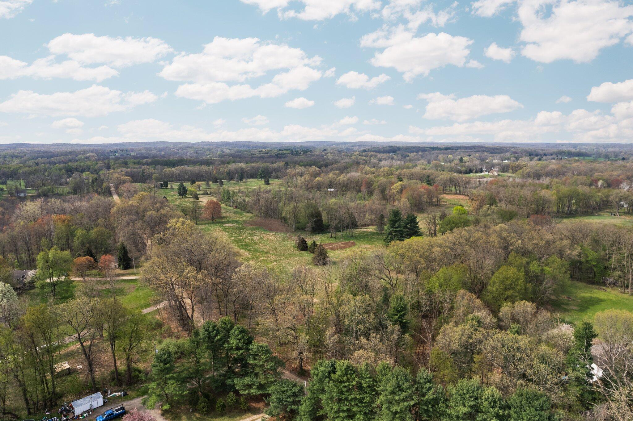 Moeckel Road Grass Lake, MI 49240 - Photo 34 of 65 34-web-or-mls-DJI_0423