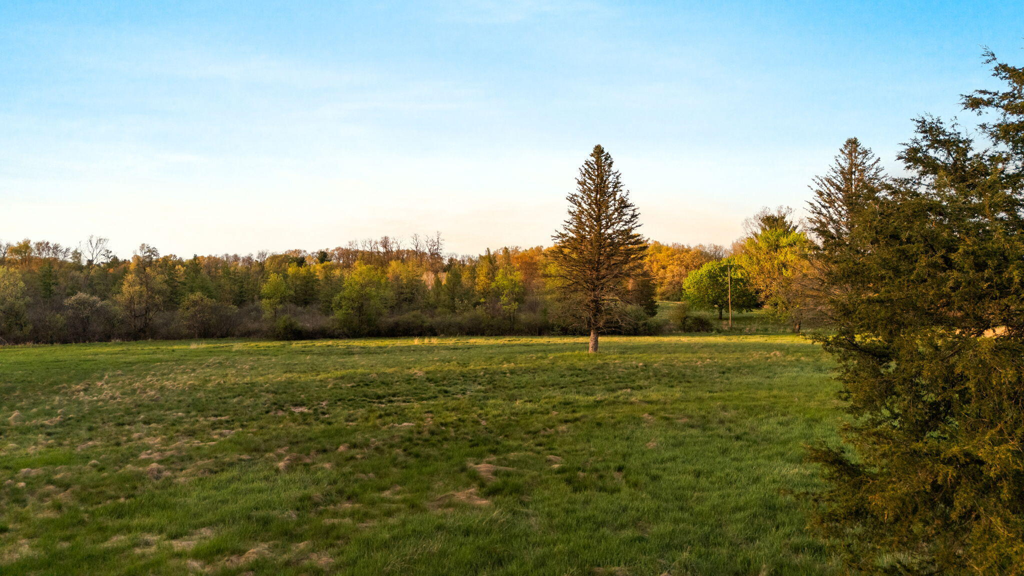 Moeckel Road Grass Lake, MI 49240 - Photo 51 of 65 51-web-or-mls-DJI_20250507200328_0125_D