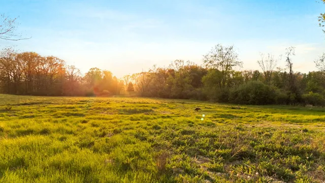 $950,000 | Moeckel Road, Grass Lake, MI 49240