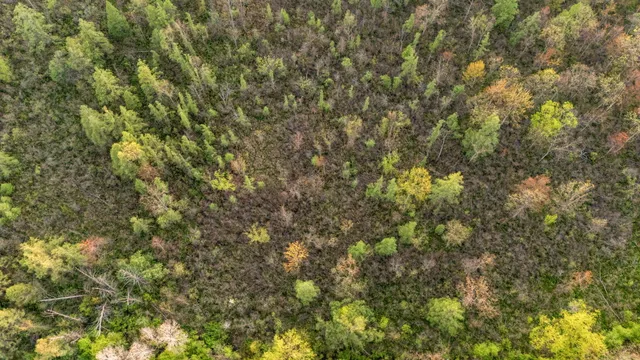 $950,000 | Moeckel Road, Grass Lake, MI 49240