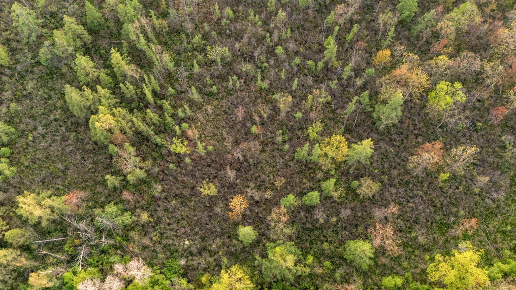 Moeckel Road Grass Lake, MI 49240 - Photo 55 of 65 55-web-or-mls-DJI_20250507200808_0136_D