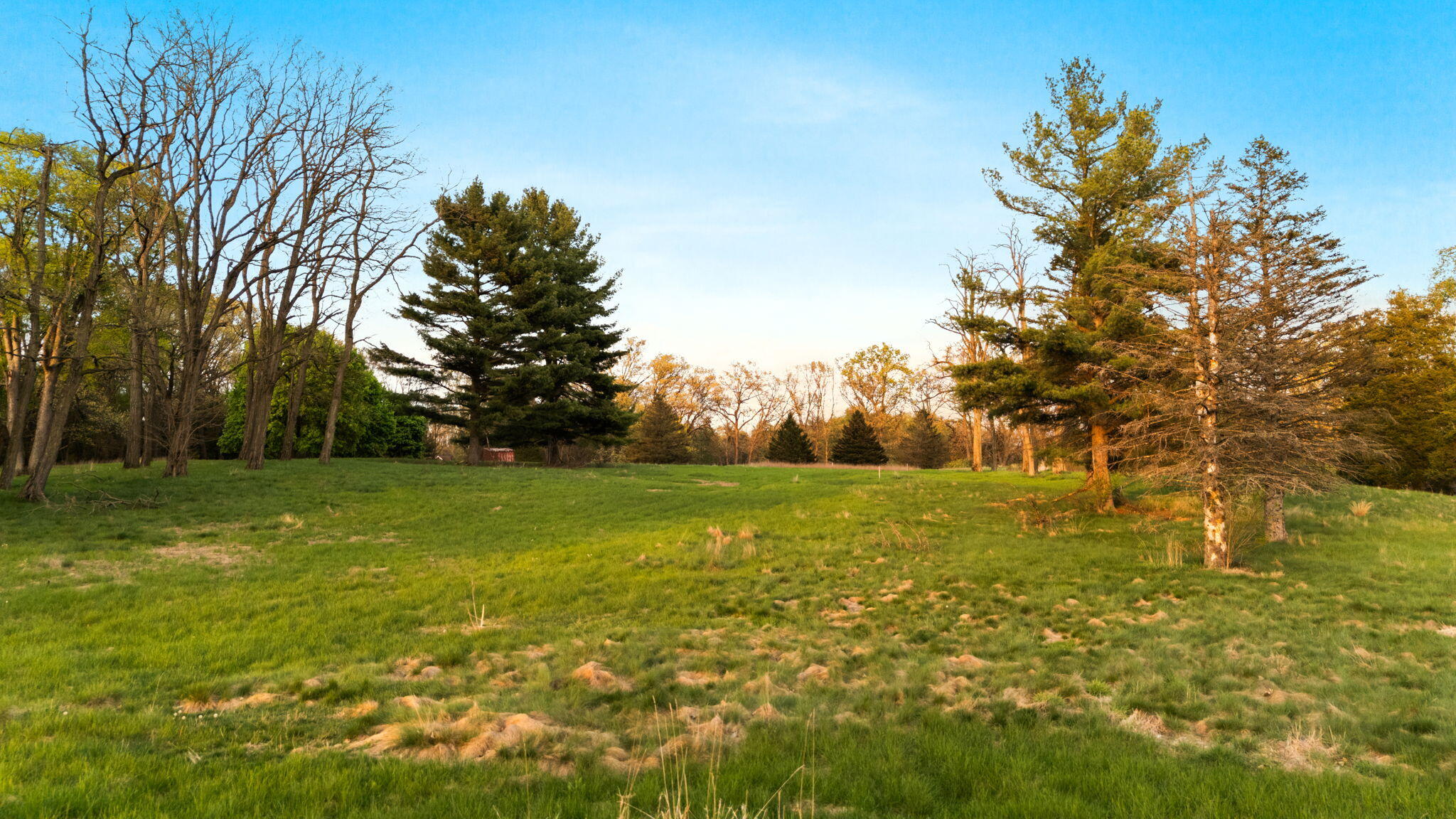 Moeckel Road Grass Lake, MI 49240 - Photo 57 of 65 57-web-or-mls-DJI_20250507200858_0139_D