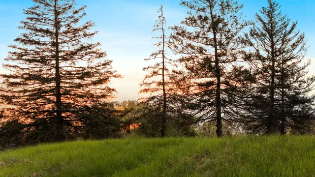 $950,000 | Moeckel Road, Grass Lake, MI 49240