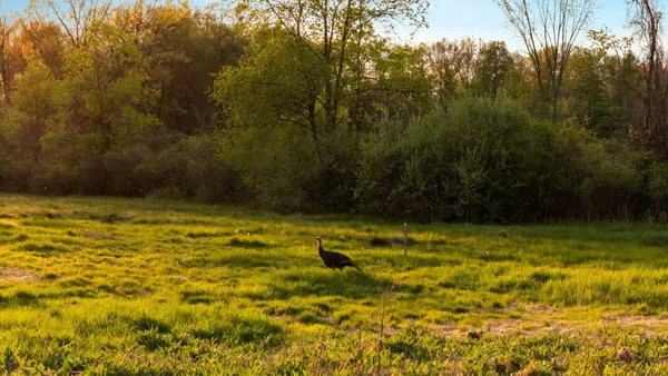 $950,000 | Moeckel Road, Grass Lake, MI 49240