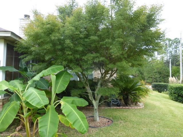 33315 Juniper Road Seminole, AL 36574 - Photo 34 of 48