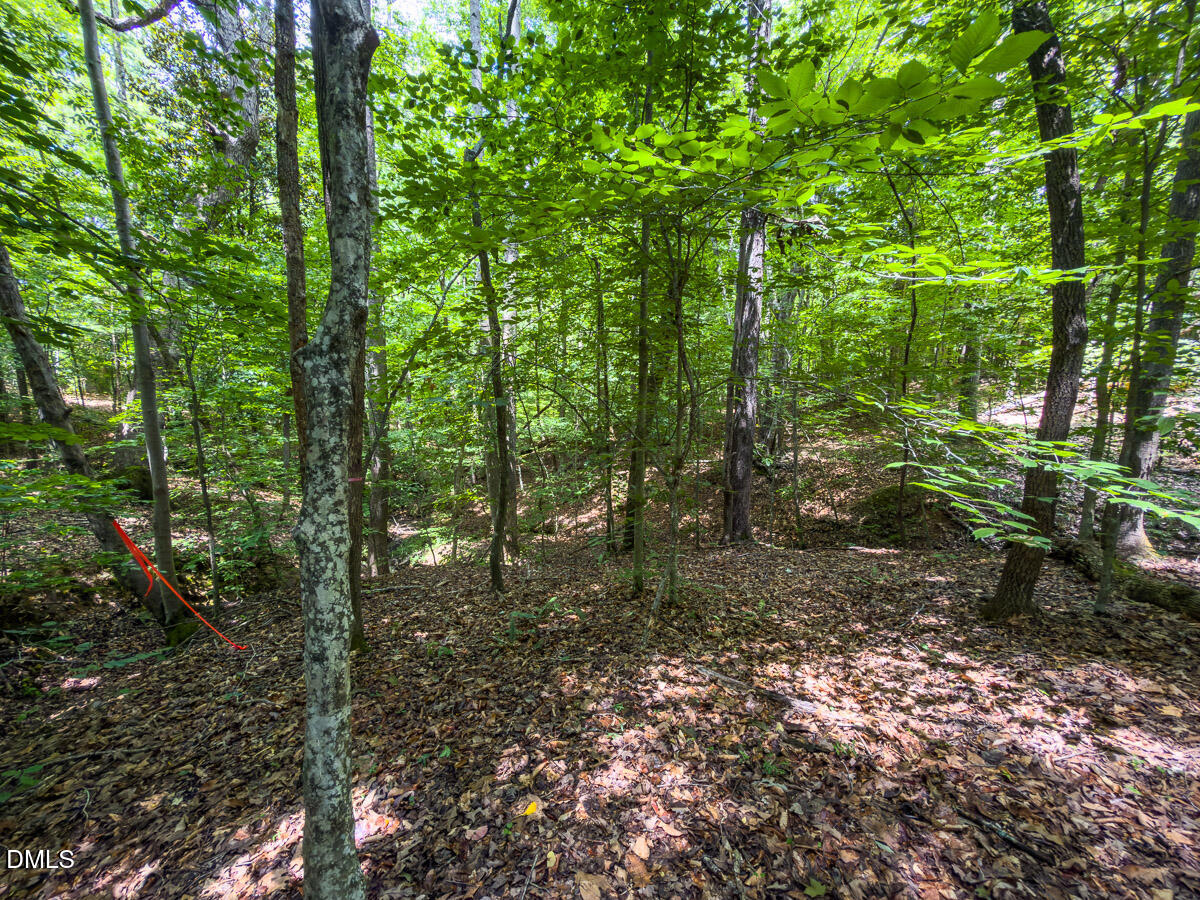 0 Park Springs Road Ruffin, NC 27326 - Photo 26 of 31 Caswell Co. NC 7.19-COA-26