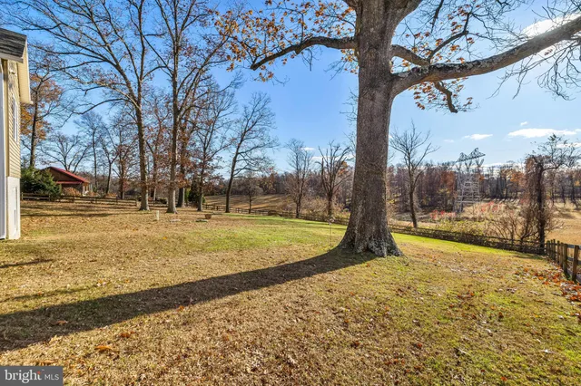 a view of yard with swimming pool