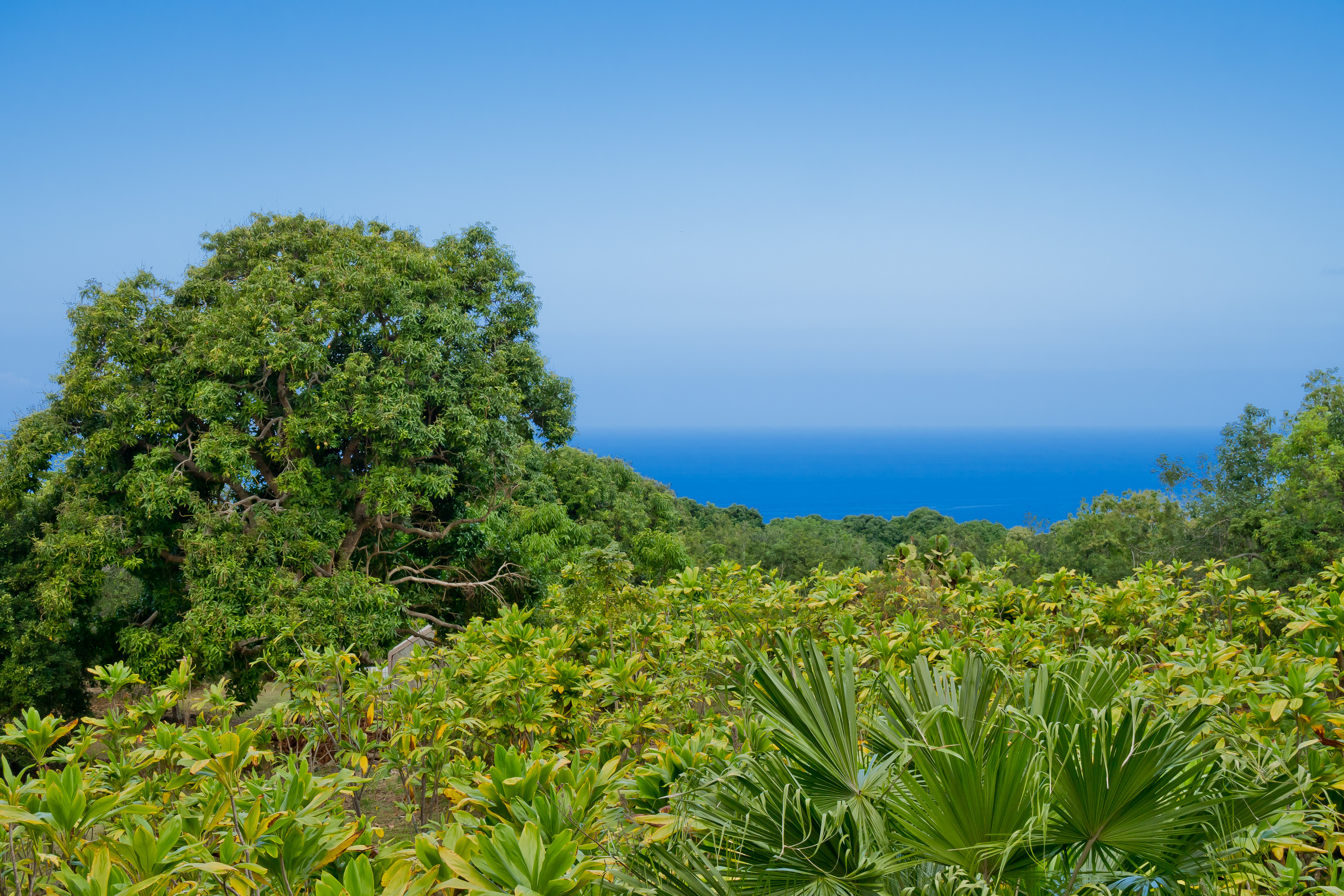 83-5401 Manako Road Captain Cook, HI 96704 - Photo 25 of 29 Gallery Image 25