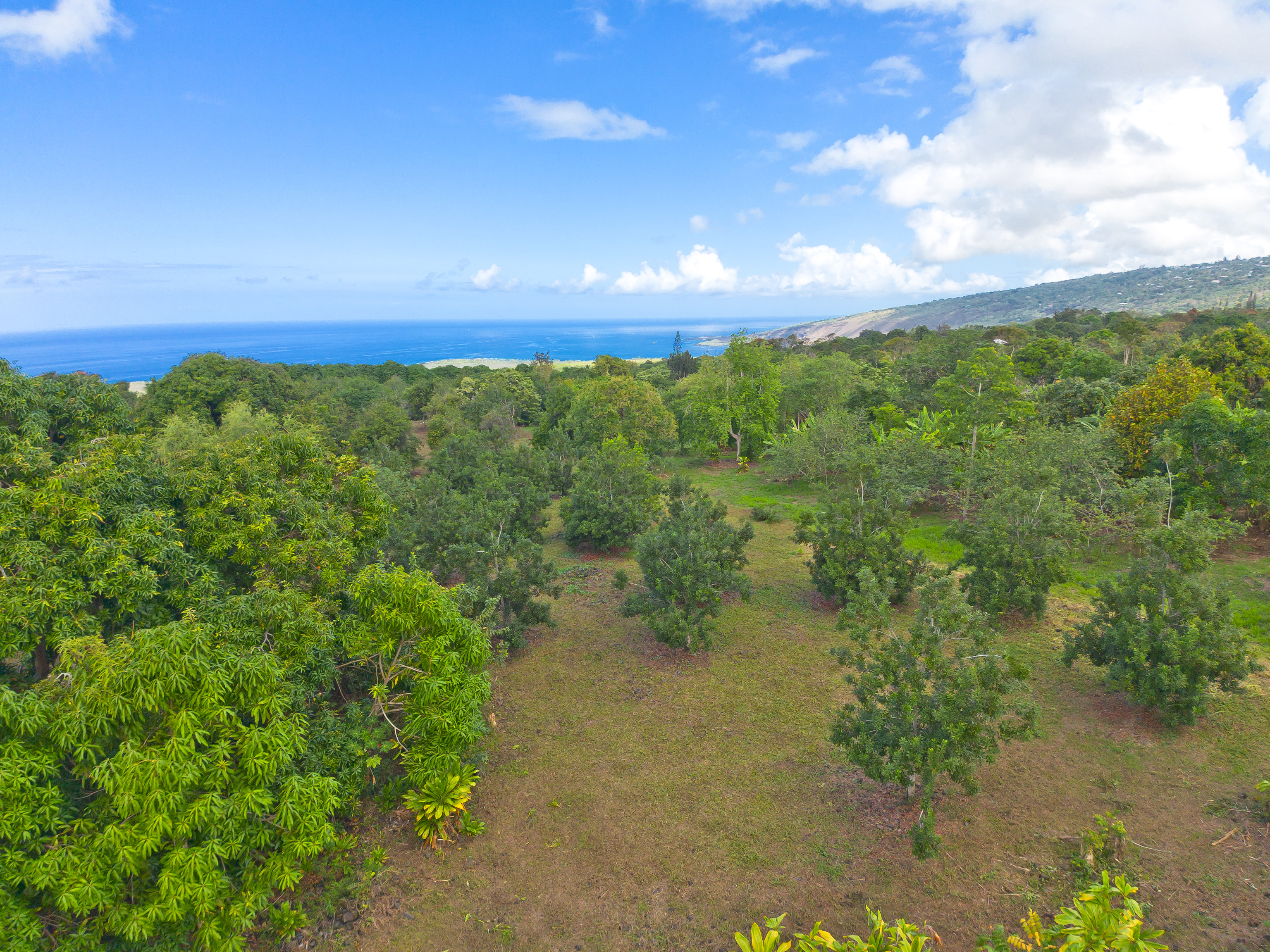 83-5401 Manako Road Captain Cook, HI 96704 - Photo 26 of 29 Gallery Image 26