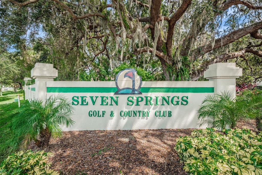 3819 Teeside Drive New Port Richey, FL 34655 - Photo 37 of 58