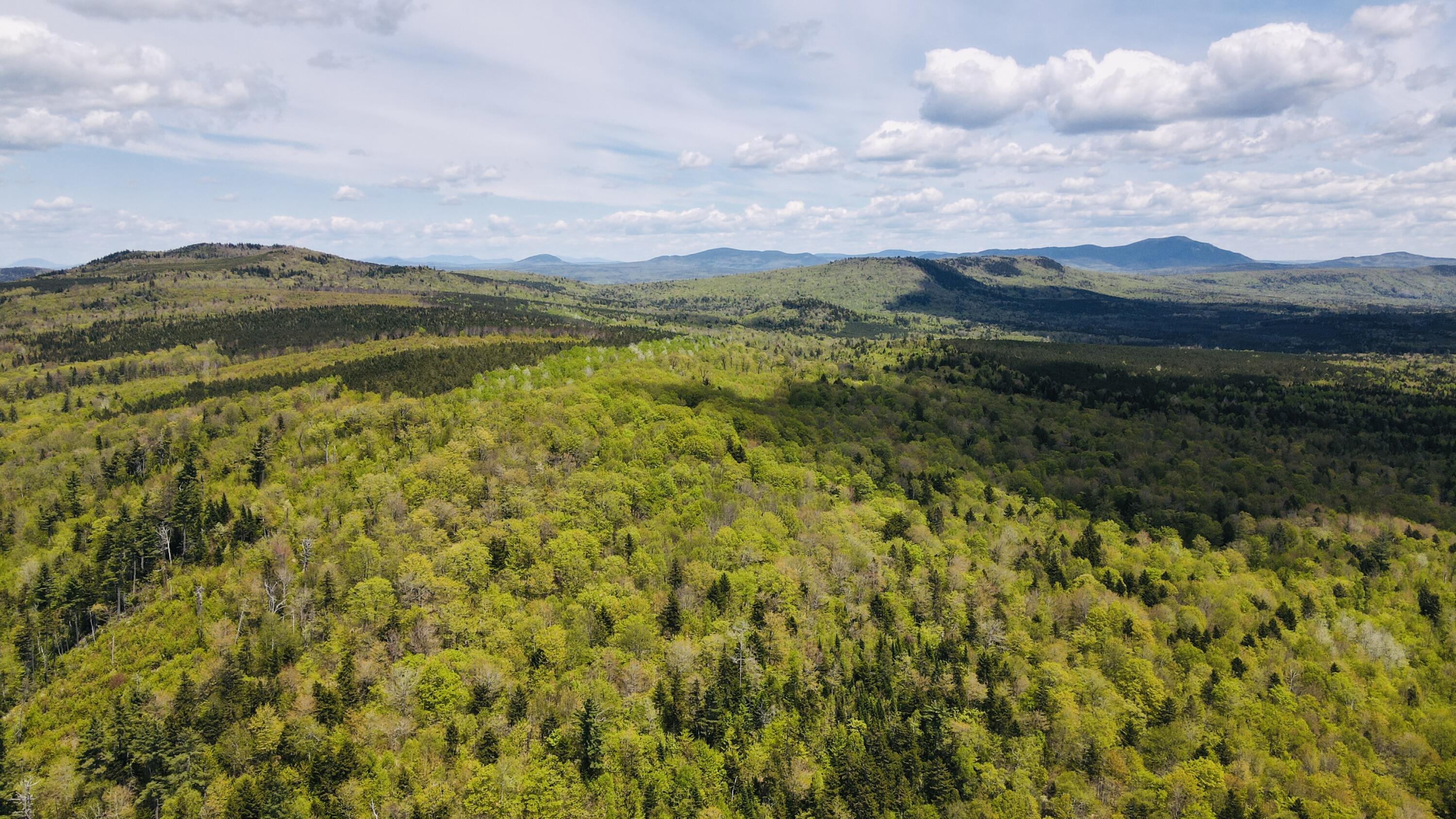 950 Carrying Pl Road New Portland, ME 04961 - Photo 12 of 48 dji_fly_20250526_132524_637_174828045229