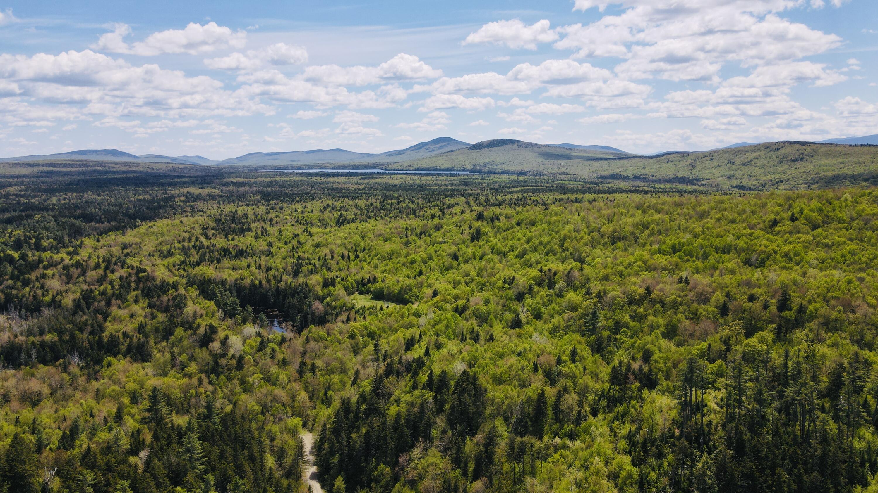 950 Carrying Pl Road New Portland, ME 04961 - Photo 15 of 48 dji_fly_20250526_132604_641_174828043865
