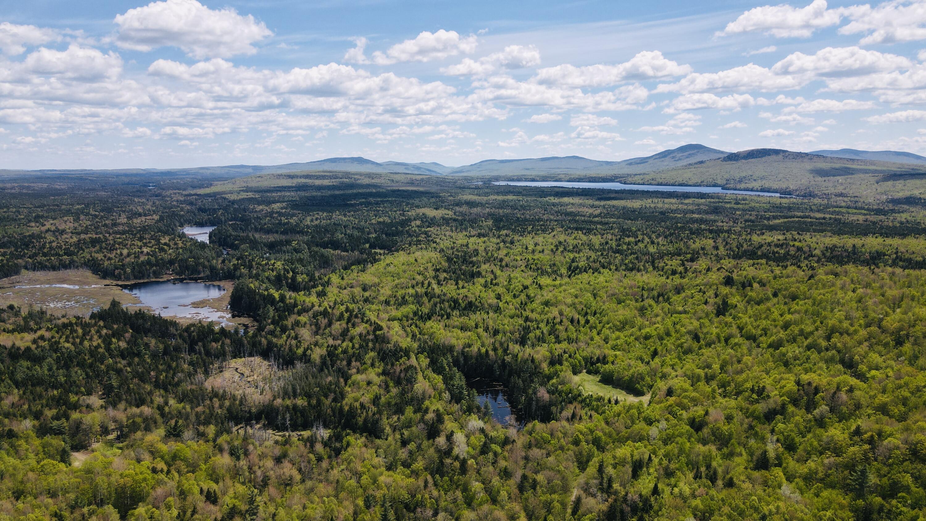 950 Carrying Pl Road New Portland, ME 04961 - Photo 16 of 48 dji_fly_20250526_132536_639_174828044543