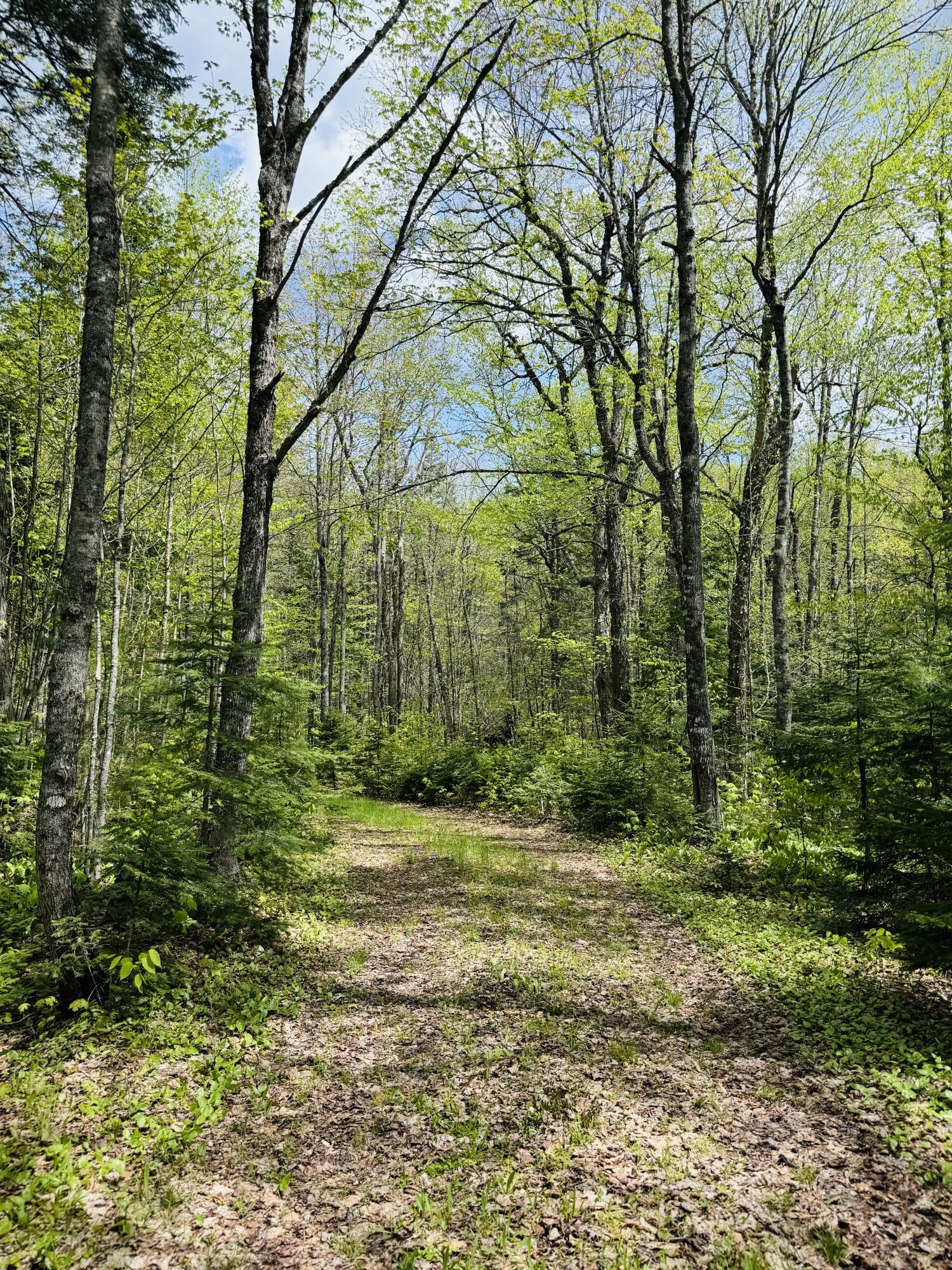 950 Carrying Pl Road New Portland, ME 04961 - Photo 17 of 48 IMG_2239