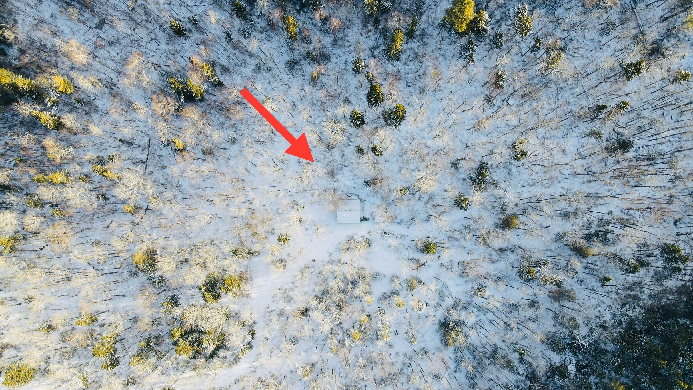 950 Carrying Pl Road New Portland, ME 04961 - Photo 47 of 48 dji_fly_20250327_081240_391_174307770952