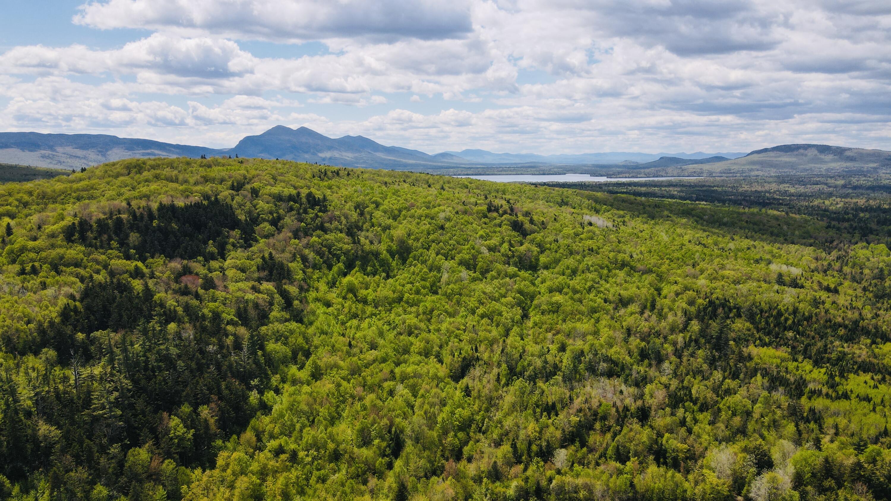 950 Carrying Pl Road New Portland, ME 04961 - Photo 10 of 48 dji_fly_20250526_132614_643_174828043161