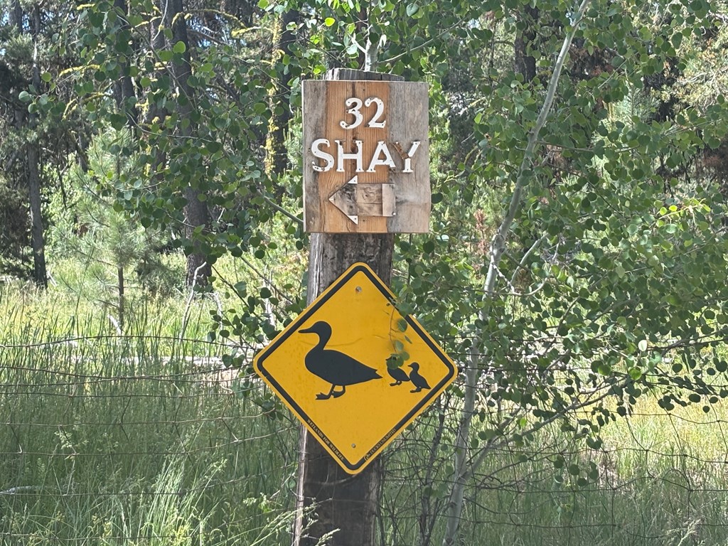 32 Shay Road Cascade, ID 83611 - Photo 6 of 40 Located at the end of the road